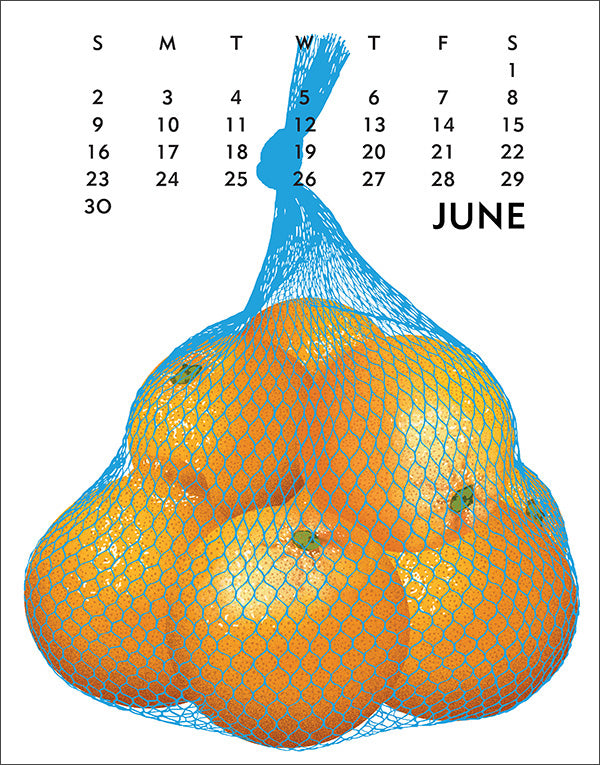 2024 Poster Calendar Linnea Design